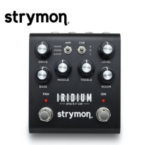Strymon - Iridium 스트라이몬 앰프 모델링 IR Cab  전용 어댑터 포함 (9V 500mA)